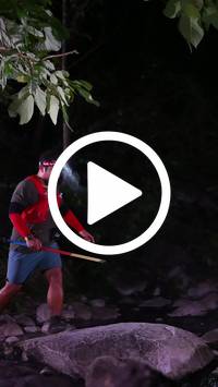 BIB:  <button type="button" onclick="openModal(28063033)" class="btn btn-primary btn-sm float-right" data-toggle="modal" data-target=".modal-high-quality">
                <i class="fa fa-download"></i> Download
                </button>